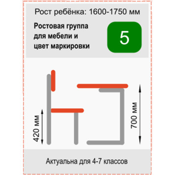 Стол ученический одноместный регулируемый Школьник 3-5 серый-серый-3